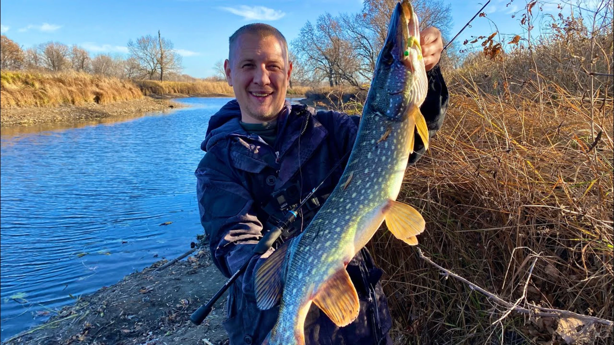 Știucă 5 kg